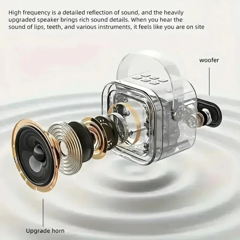 Premium Bluetooth Karaoke Speaker with Wireless Microphones